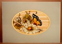#17. Daisy & Butterfly, 5"x7" - $3.00