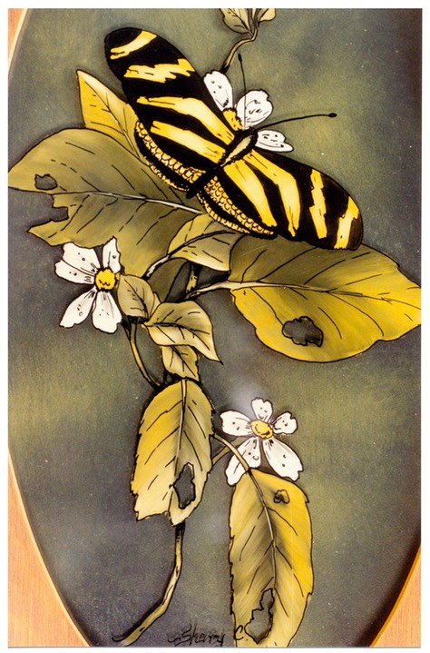 #18.Zebra Butterfly, 8"x12" - $3.00