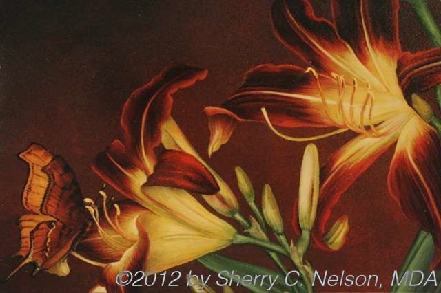 26. Lilies Rose Pohousky (detail) 