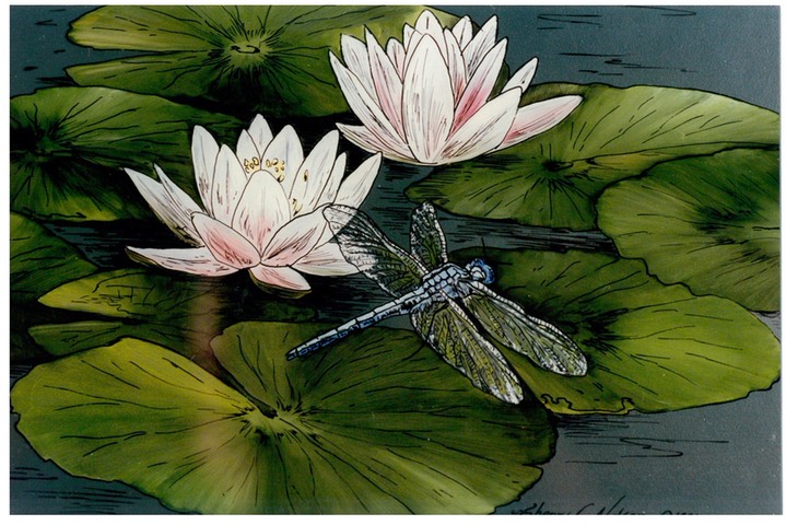 #31.Water Lilies & Dragonfly, 8"x10" - $4.00