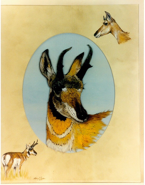#40.Pronghorn Antelope, 16"x20" - $8.00