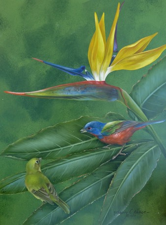 Birds of Paradise, 12" x 16", $12.00