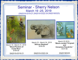 Seminar20190319 - Sherry Nelson March 19 -26, 2019 (SN2019#1-0319-21,SN2019#2-0323-24, SN2019#3-0325, SN2019#4-0326, SN2019#5 All 7 Days